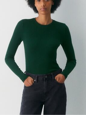 Aritzia Homestretch Rib Solo Longsleeve Scarab